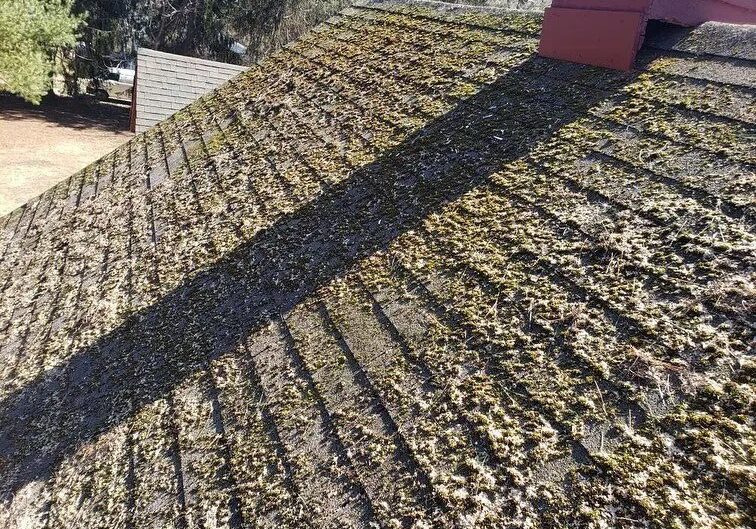 A roof with a lot of moss on it and a chimney in the background.